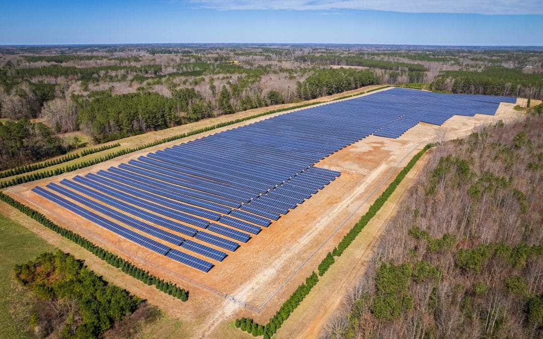 Solar Farm 101 for Beginners